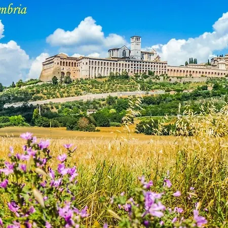 By Casamerina, Cunicchi House With Private Pool And Ac 1km From Village 펜션 *