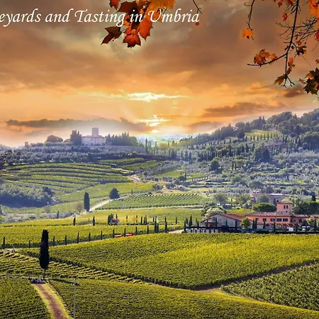 펜션 By Casamerina, Cunicchi House With Private Pool And Ac 1km From Village 몬테키오