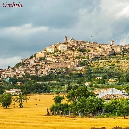 Cunicchi House With Private Pool And Ac 1km From Village