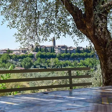 Cunicchi House With Private Pool And Ac 1km From Village *